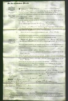 Court of Common Pleas - Ann Holder-Original Ancestry