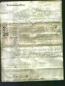 Court of Common Pleas - Sarah Toob-Original Ancestry