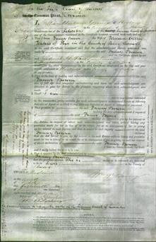 Court of Common Pleas - Fanny Bourn Waters-Original Ancestry