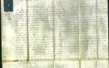 Court of Common Pleas - Sarah Rowntree-Original Ancestry