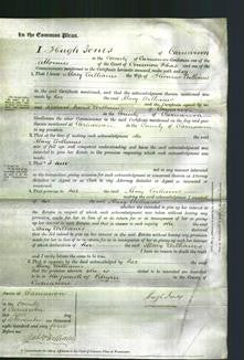 Court of Common Pleas - Mary Williams-Original Ancestry