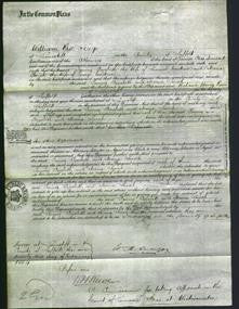 Court of Common Pleas - Fanny Elizabeth Crickmer and Maria Sarah Crickmer-Original Ancestry