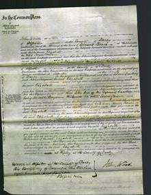 Court of Common Pleas - Elizabeth Walker-Original Ancestry