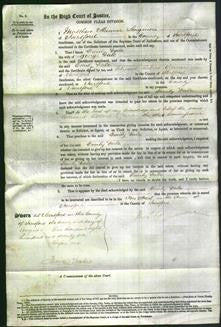 Court of Common Pleas - Emily Dale-Original Ancestry