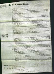 Court of Common Pleas - Charlotte Fleet and Mary Anne Newdick-Original Ancestry