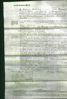 Court of Common Pleas - Maria Jennings Baulkes-Original Ancestry