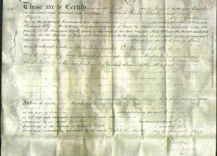 Deed by Married Women - Sarah Toob-Original Ancestry