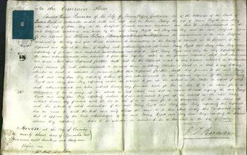 Court of Common Pleas - Fanny Piggott and Mary Ann Terry-Original Ancestry