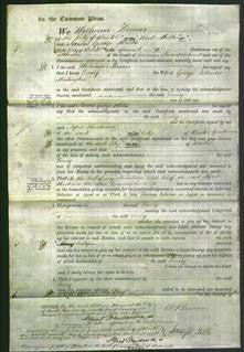 Court of Common Pleas - Emily Darlington-Original Ancestry