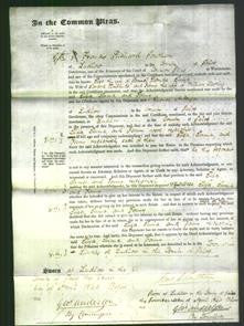 Court of Common Pleas - Eliza Padmore, Emma Halfhide and Fanny Carless-Original Ancestry