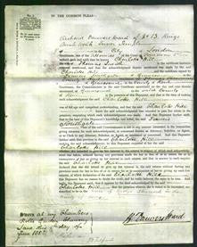 Court of Common Pleas - Charlotte Hill Smith-Original Ancestry