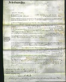 Court of Common Pleas - Catharine Helme-Original Ancestry