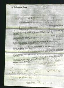 Court of Common Pleas - Jane House Morris-Original Ancestry