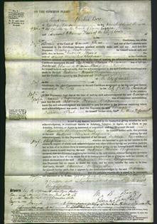 Court of Common Pleas - Antonia Maria Chapman-Original Ancestry