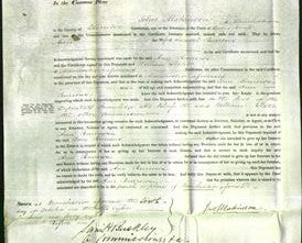 Court of Common Pleas - Ann Burrows-Original Ancestry