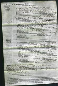 Court of Common Pleas - Frances Harriet Winkley-Original Ancestry