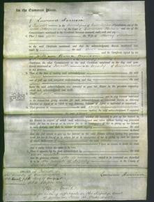 Court of Common Pleas - Ann Jackson-Original Ancestry