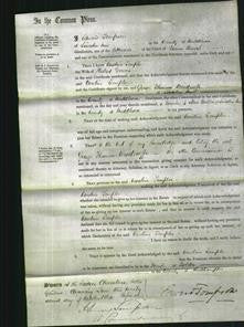 Court of Common Pleas - Caroline Templer Davies-Original Ancestry