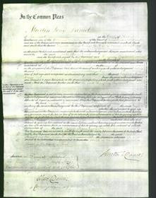 Court of Common Pleas - Elizabeth Stevens Cramp-Original Ancestry