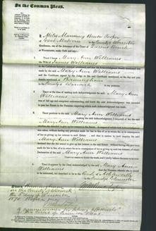 Court of Common Pleas - Mary Ann Williams-Original Ancestry