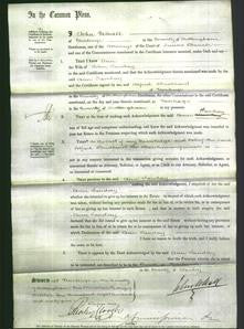 Court of Common Pleas - Ann Sanday-Original Ancestry