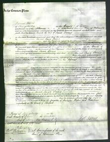 Court of Common Pleas - Louisa Dewing-Original Ancestry