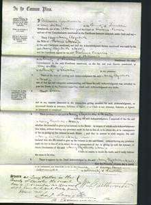 Court of Common Pleas - Mary Elizabeth Mossop-Original Ancestry