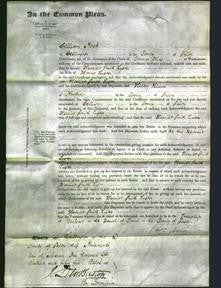 Court of Common Pleas - Harriett Smith Lyster-Original Ancestry