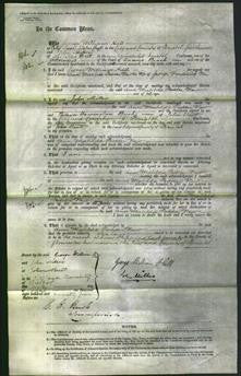 Court of Common Pleas - Ann Matilda Pedder New-Original Ancestry