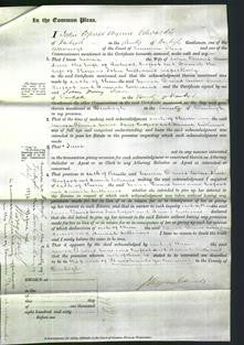 Court of Common Pleas - Maria Davies, Anne Jane Kerfoot and Hannah Williams-Original Ancestry