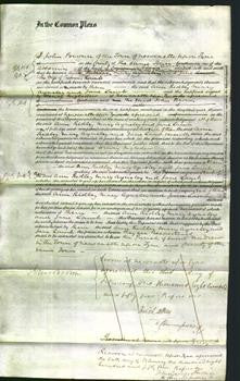 Court of Common Pleas - Ann Ridley, Mary Aynsley and Jane Lamb-Original Ancestry