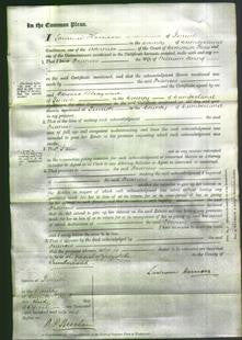 Court of Common Pleas - Frances Irwing-Original Ancestry