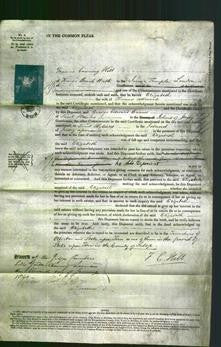 Court of Common Pleas - Elizabeth Attwood-Original Ancestry