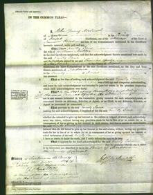 Court of Common Pleas - Emily Jane Miller-Original Ancestry