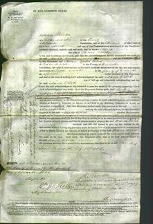 Court of Common Pleas - Maria Welch-Original Ancestry