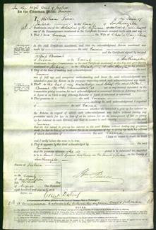 Court of Common Pleas - Emma Stone-Original Ancestry