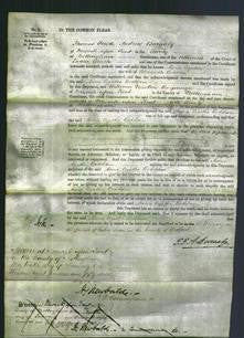 Court of Common Pleas - Maria Agatha Boddam-Original Ancestry