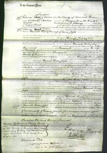 Court of Common Pleas - Hannah Hussey Pople-Original Ancestry