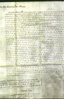 Court of Common Pleas - Jane Lloyd-Original Ancestry