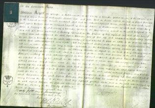 Court of Common Pleas - Sophia Robinson-Original Ancestry