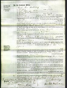 Court of Common Pleas - Maria Tempest-Original Ancestry