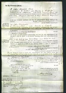 Court of Common Pleas - Margaret Elizabeth Hayward-Original Ancestry