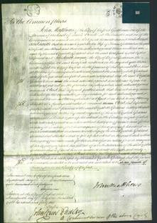 Court of Common Pleas - Elizabeth Goddard-Original Ancestry