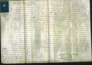 Court of Common Pleas - Sarah Trowbridge-Original Ancestry