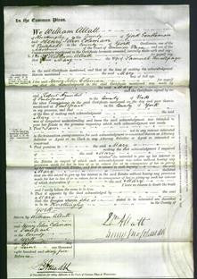 Court of Common Pleas - Mary Smallpage-Original Ancestry