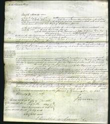 Court of Common Pleas - Rebecca Perrin-Original Ancestry
