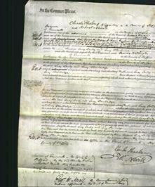 Curt of Common Pleas - Lucy Landy and Lucy Hambridge-Original Ancestry