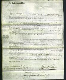 Court of Common Pleas - Sarah Pearson-Original Ancestry