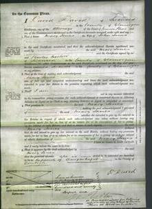 Court of Common Pleas - Mary Jones-Original Ancestry