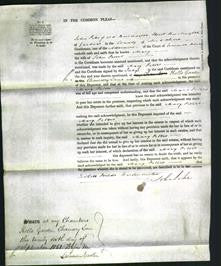 Court of Common Pleas - Mary Peters-Original Ancestry